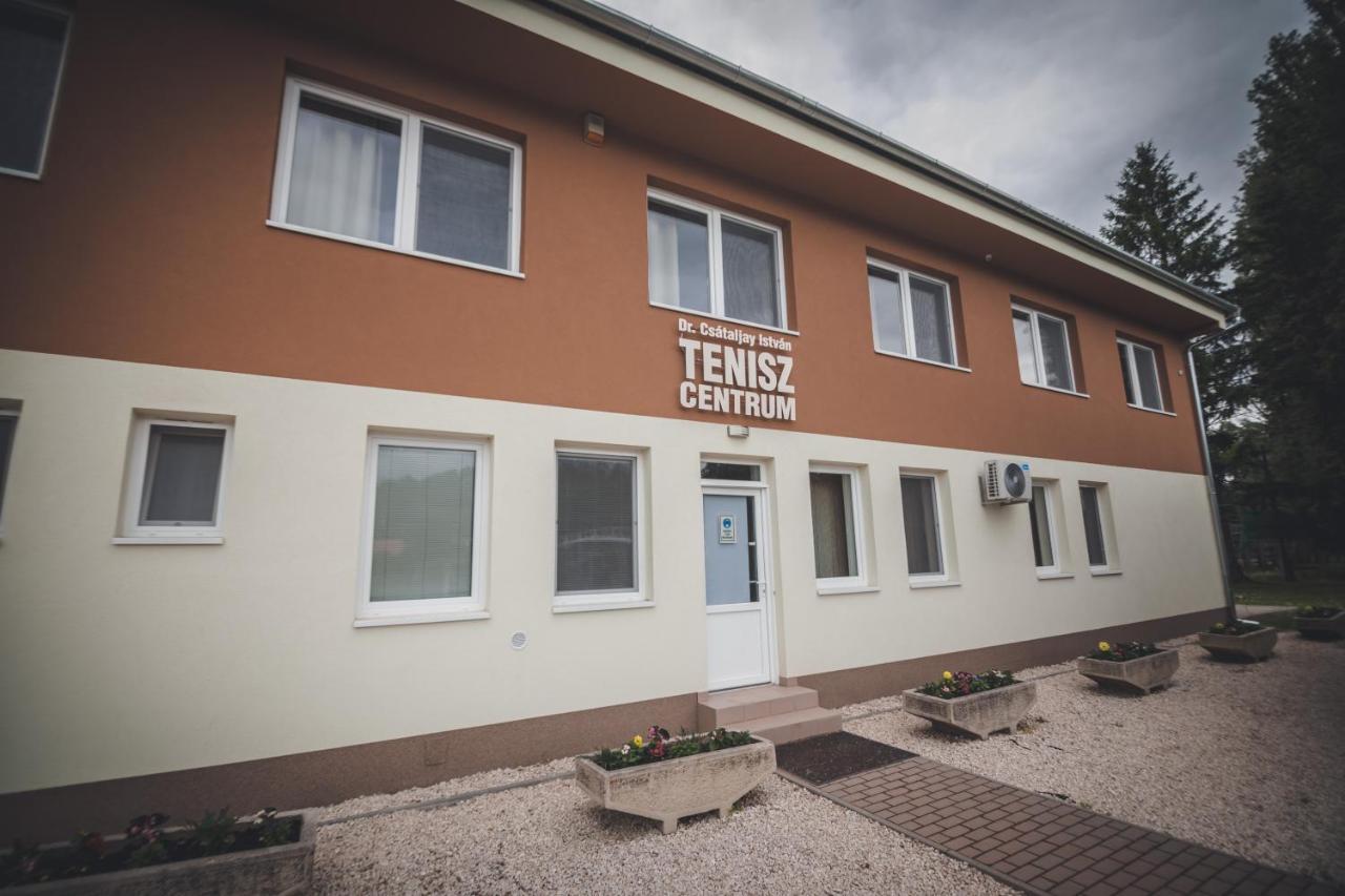 Tenisz Panzio - Baja Exterior foto